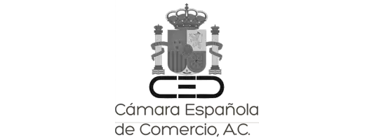 Alianzas 3 GOM Business Consulting_